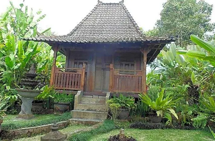 Bali Mountain Retreat *