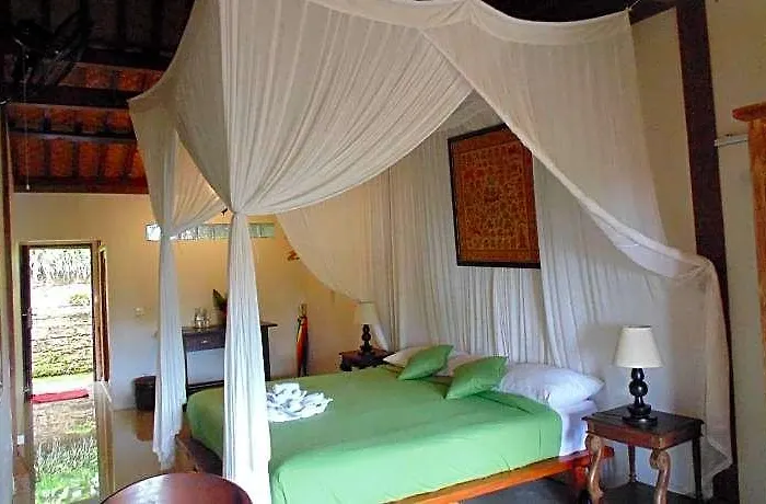 Bali Mountain Retreat