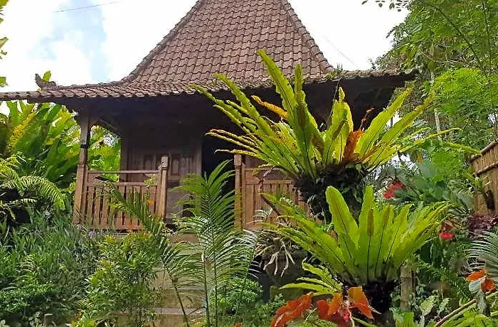 Bali Mountain Retreat Wongaya Gede